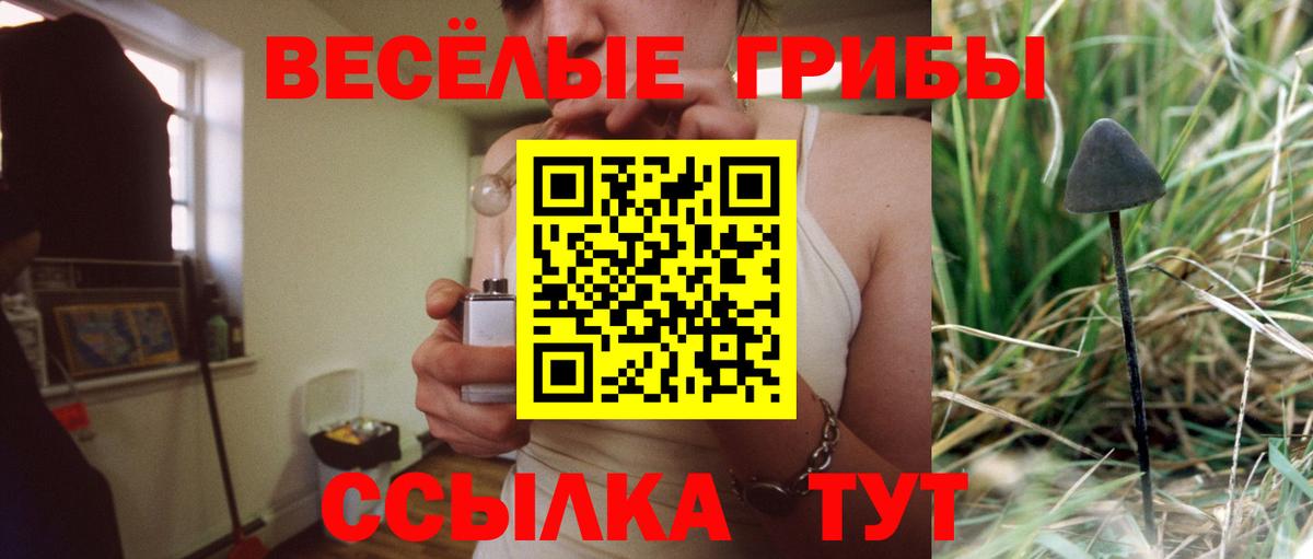 Псилоцибиновые грибы Magic Shrooms  Галлюциногенные грибы Psilocybine cubensis  Новый Уренгой  Вход с VPN 